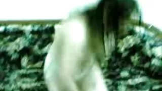 دو عکس سکسی کوس خوشگل بررسی سوالات با مقایسه هر یک از دیگران سینه